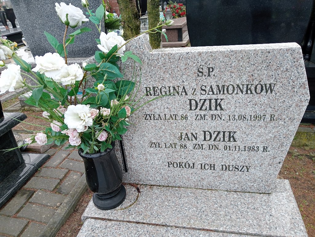 Grób Regina Dzik