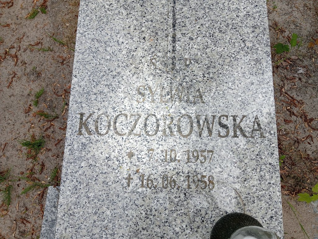 Grób Sylwia Koczorowska