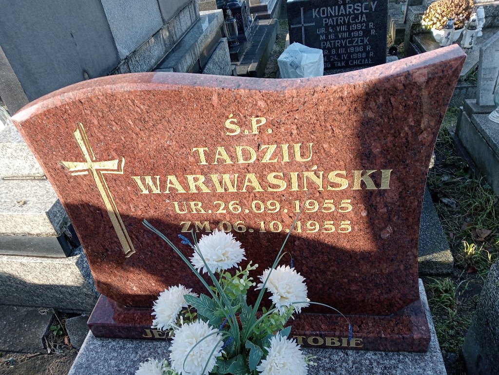 Grób Tadeusz Warwasiński
