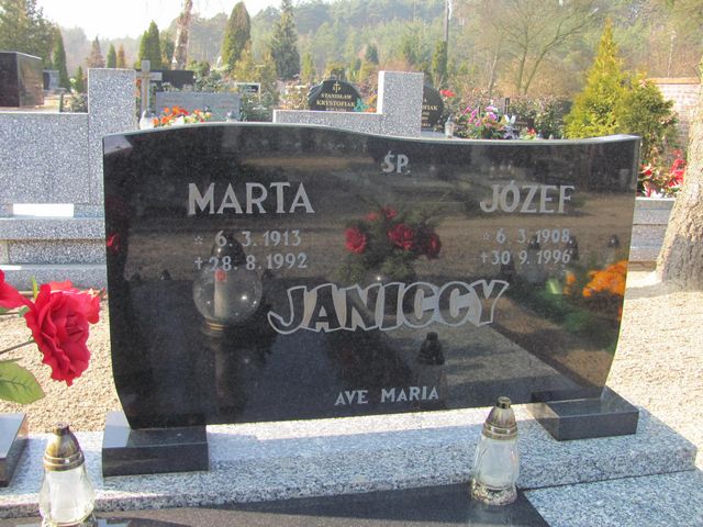 Grób Józef Janicki