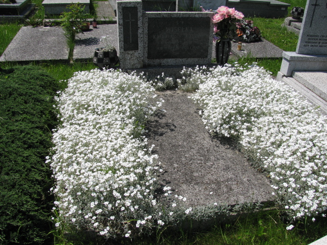 Grób Katarzyna Wisełka