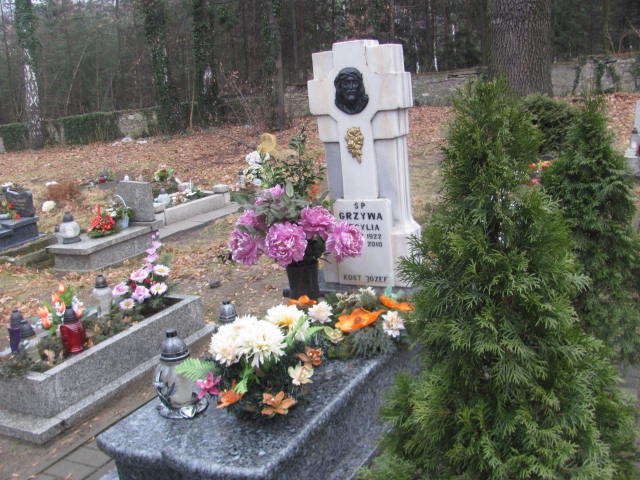 Grób Cecylia Grzywa