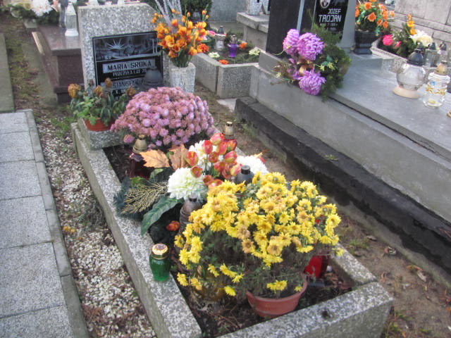 Grób Stanisław Sroka