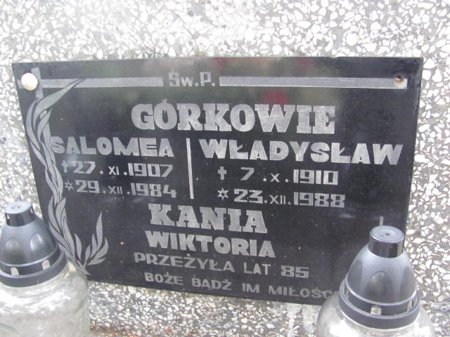 Grób Władysław Górka