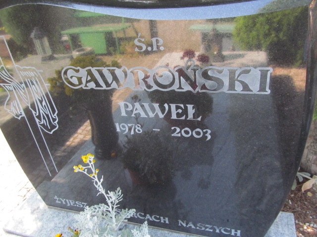 Grób Paweł Gawroński