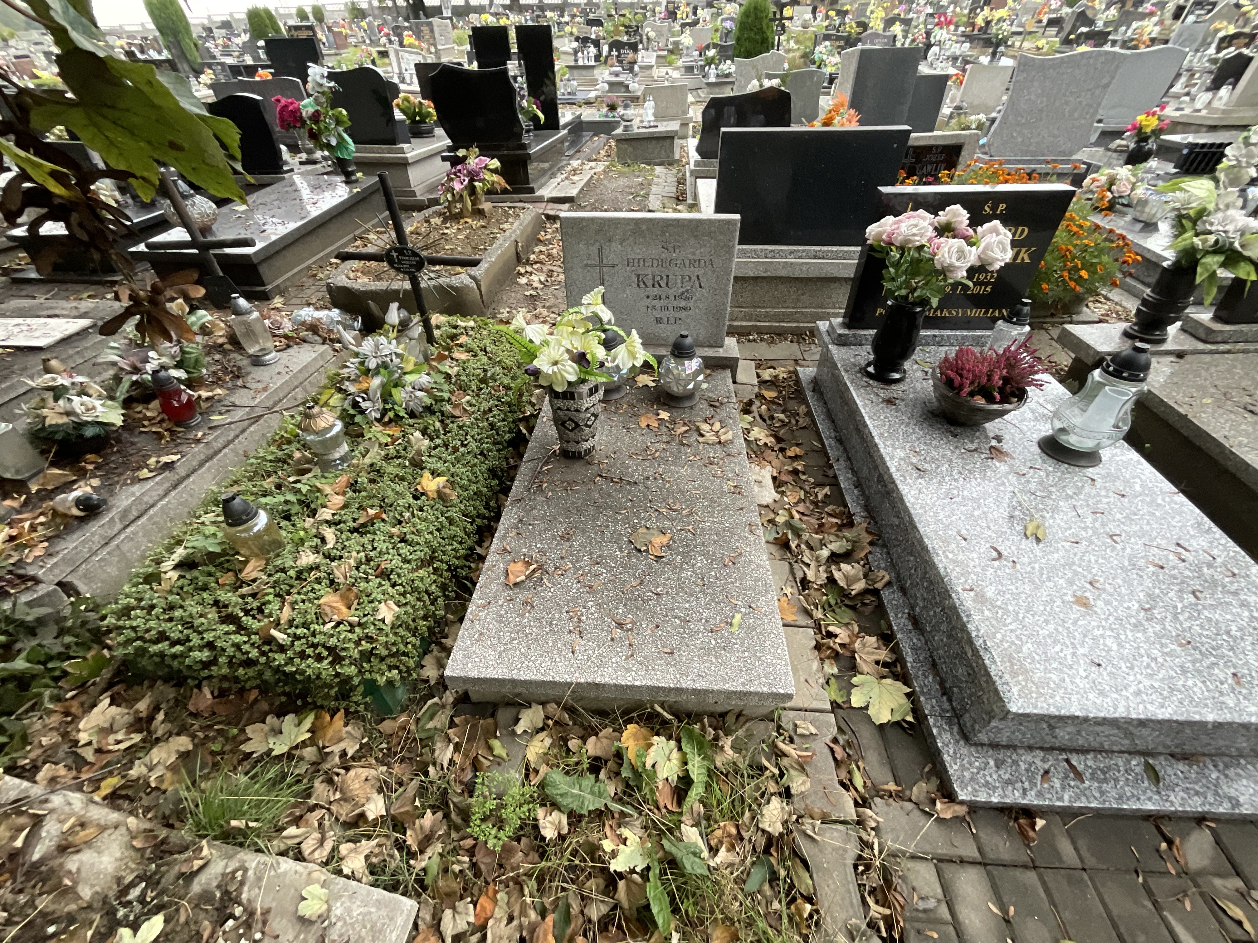 Grób Hildegarda Krupa