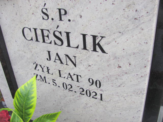 Grób Jadwiga Cieślik